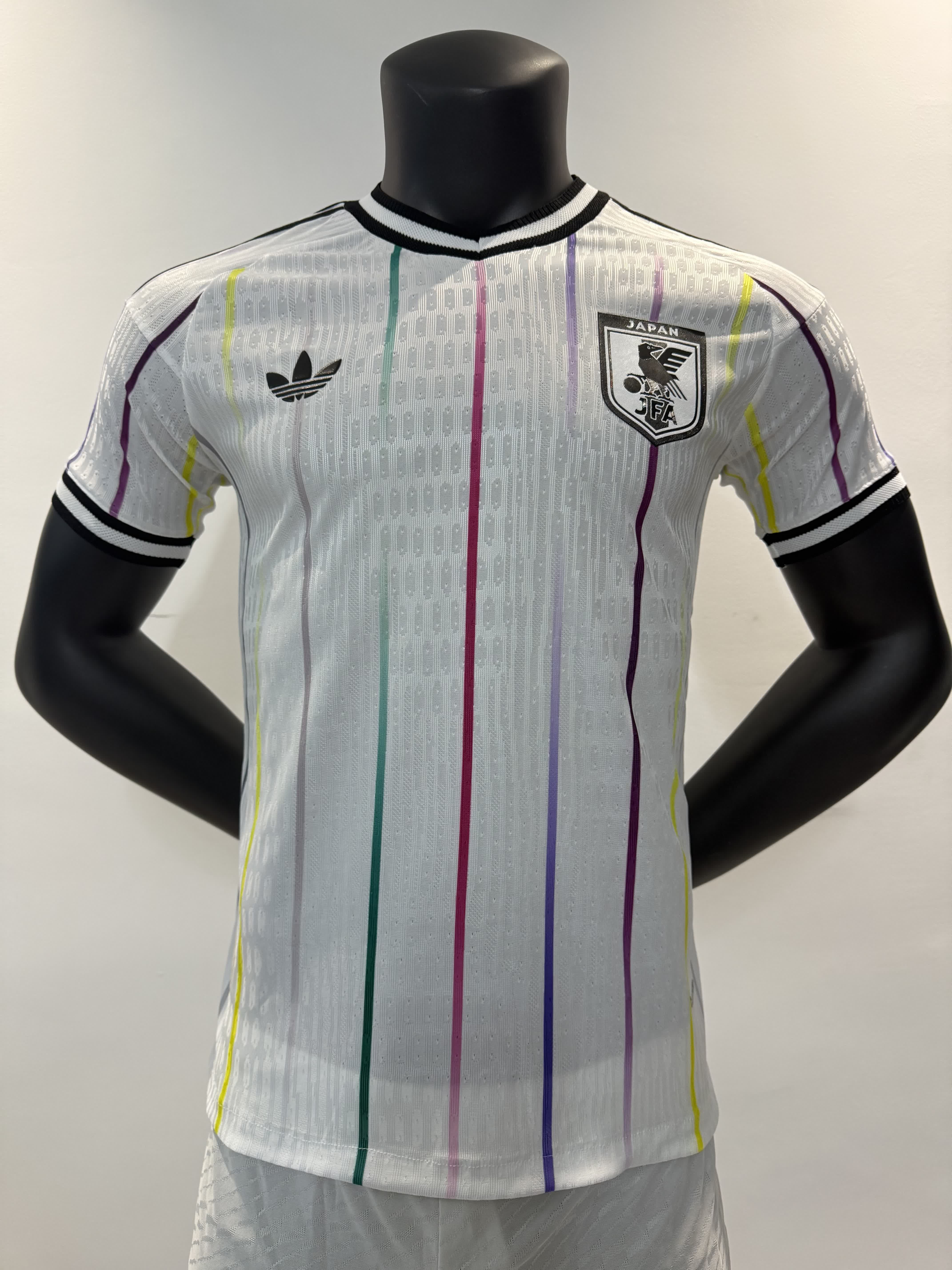 Japón 1