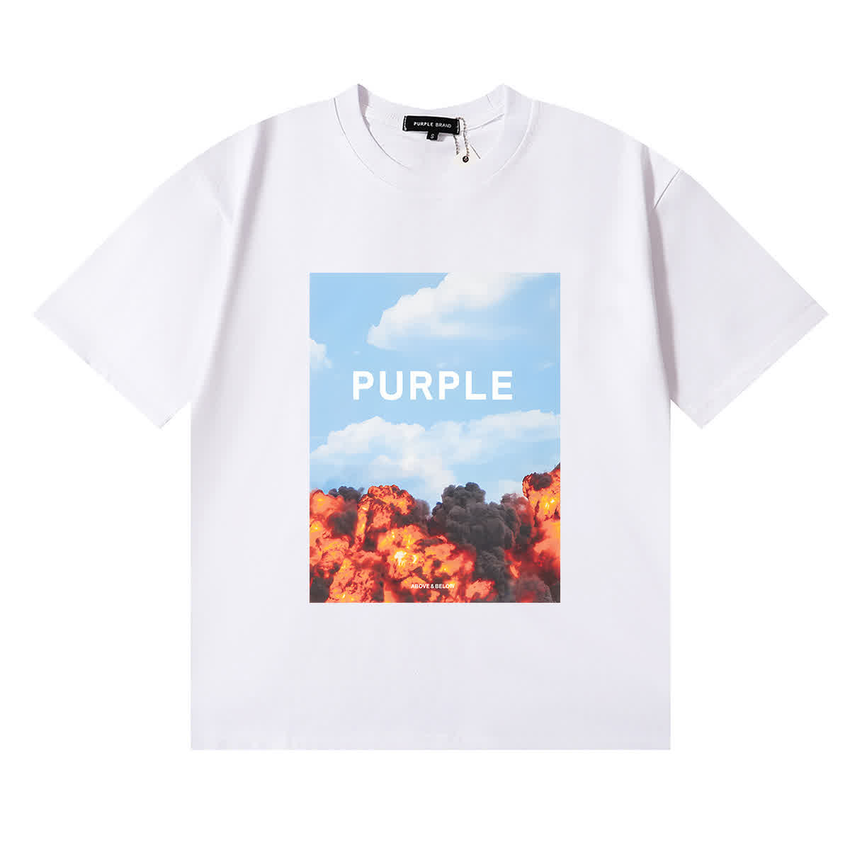 PUR0113