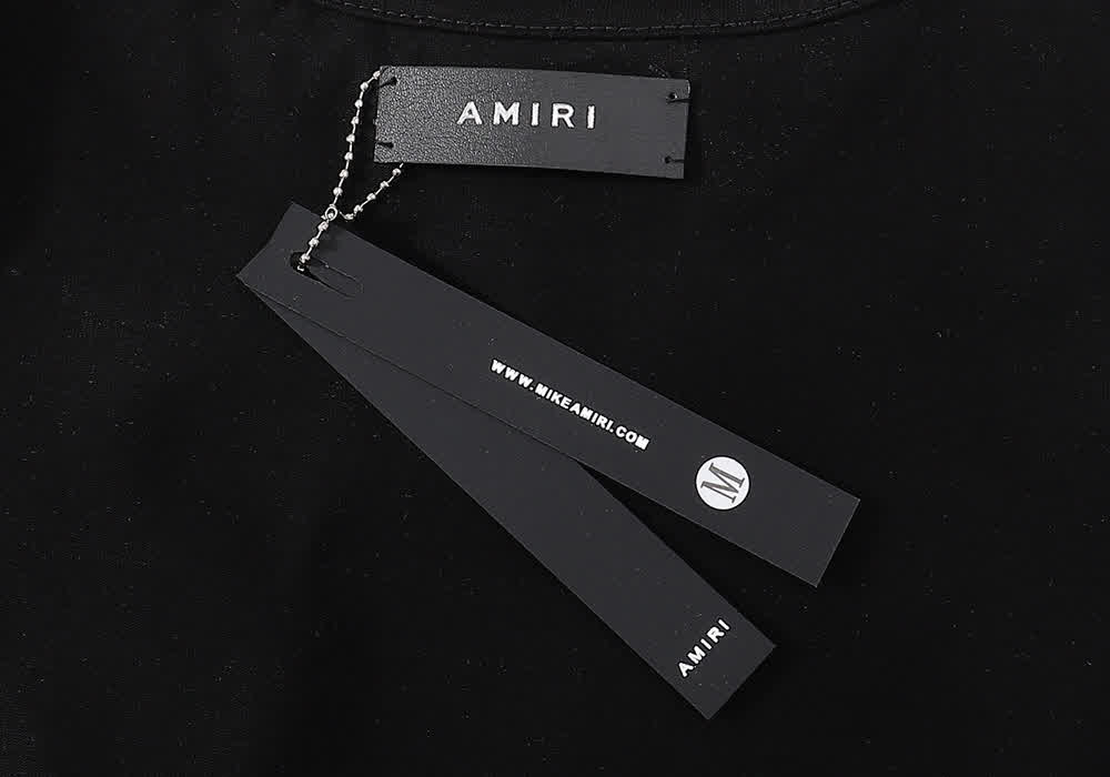 AMI0101