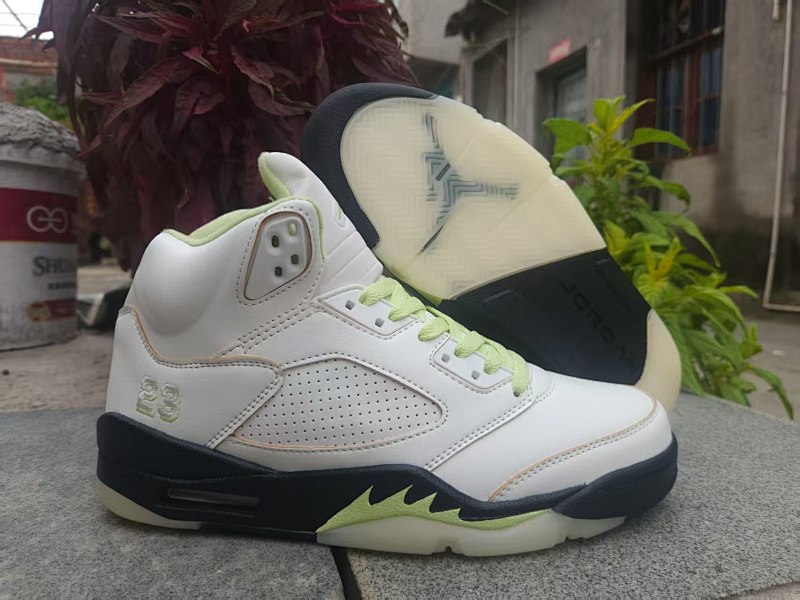Air Jordan 5 18