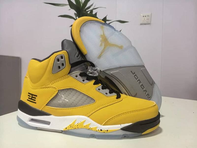 Air Jordan 5 22