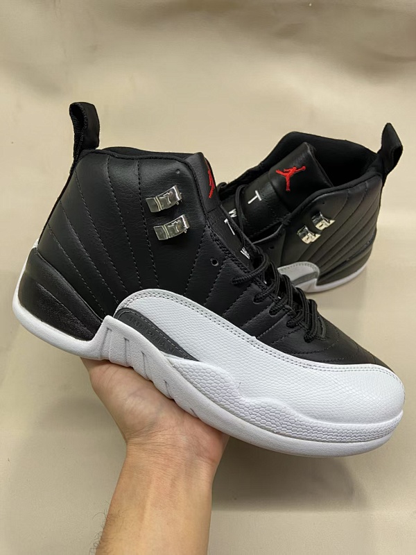 Air Jordan 12 13