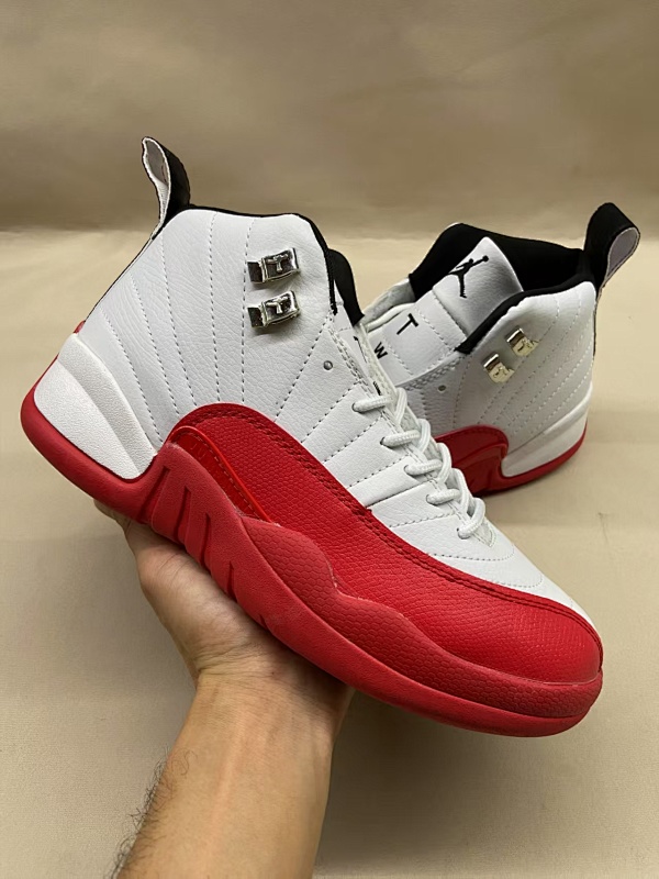 Air Jordan 12 20
