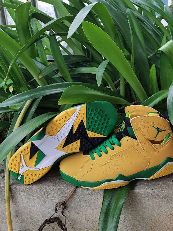 Air Jordan 7 22